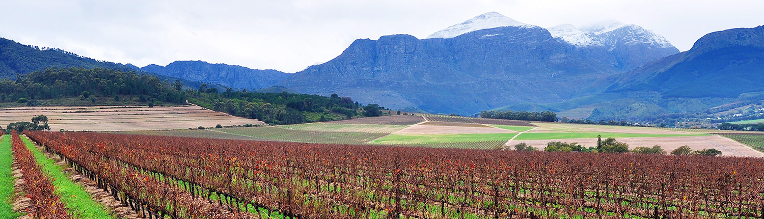 Paarl Mountains