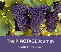 The Pinotage Journey