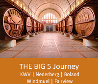 The Big 5 Journey