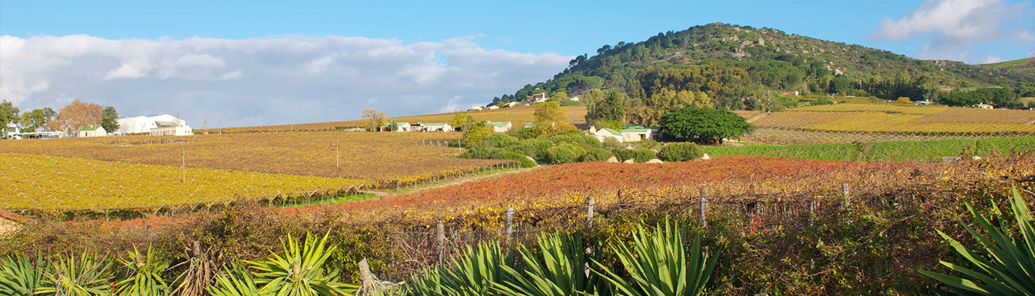 Paarl Mountain